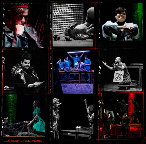 Sex Blood Shakespeare