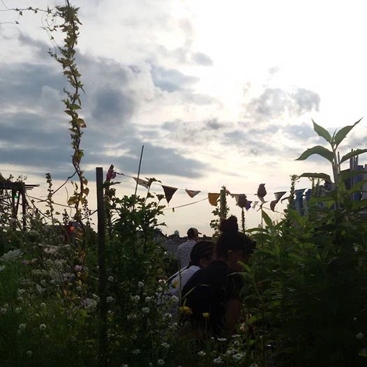 Berlino_Kulturgarten Klunkerkranich